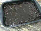 Death By Chocolate Cake
